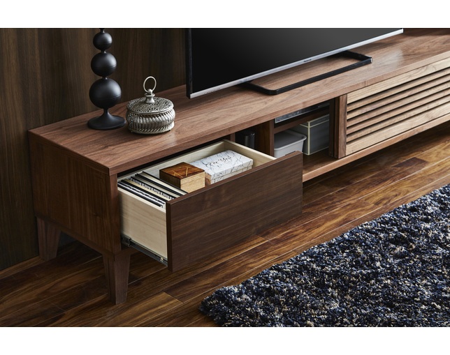 ニッポネア(NIPPONAIRE) TV BOARD RABAの写真