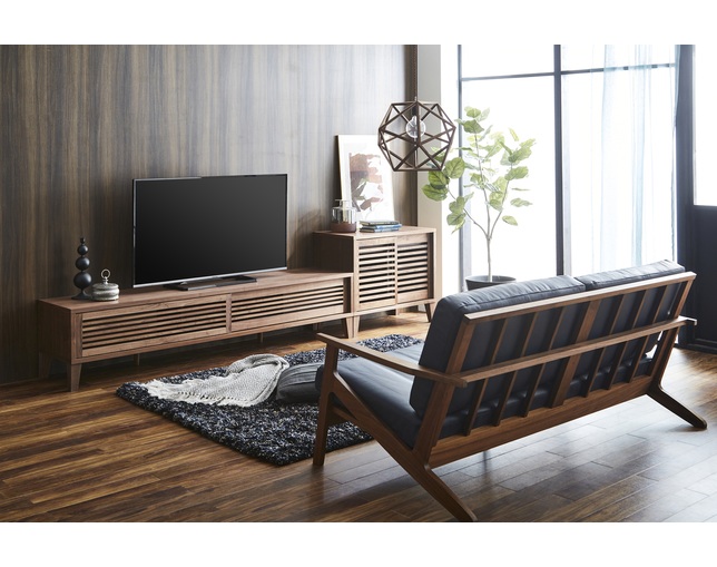 ニッポネア(NIPPONAIRE) TV BOARD RABAの写真