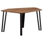 NIPPONAIRE DINING TABLE FREIREの写真