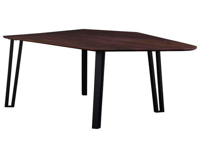 ニッポネア(NIPPONAIRE) DINING TABLE FREIREの写真