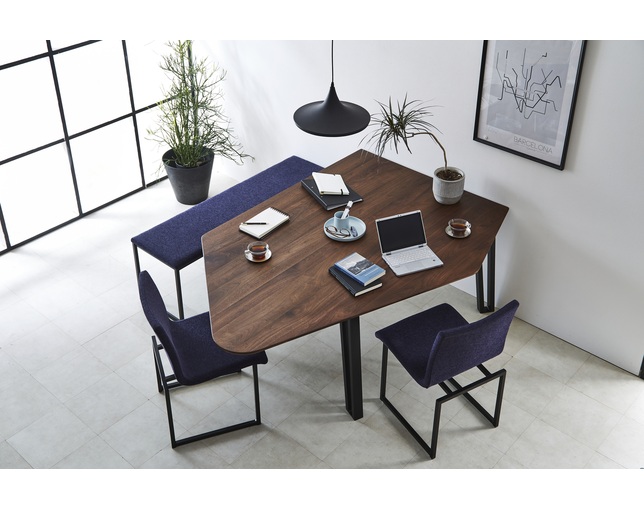 ニッポネア(NIPPONAIRE) DINING TABLE FREIREの写真