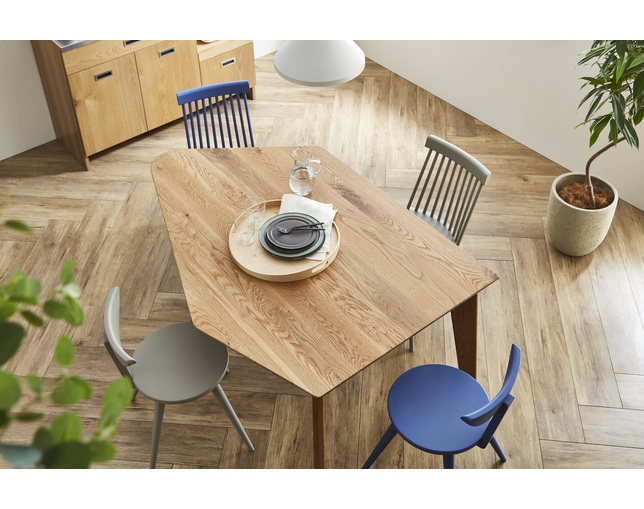 ニッポネア(NIPPONAIRE) DINING TABLE FREIREの写真