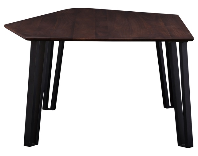 ニッポネア(NIPPONAIRE) DINING TABLE FREIREの写真