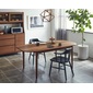 NIPPONAIRE DINING TABLE VINTOの写真
