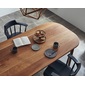 NIPPONAIRE DINING TABLE VINTOの写真