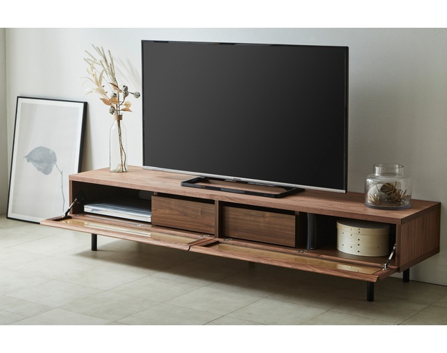 ニッポネア(NIPPONAIRE) TV BOARD ELEGAの写真