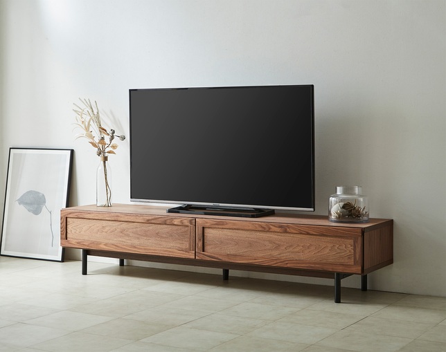 ニッポネア(NIPPONAIRE) TV BOARD ELEGAの写真