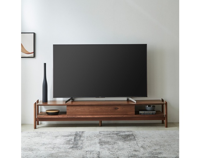 ニッポネア(NIPPONAIRE) TV BOARD IKORAの写真