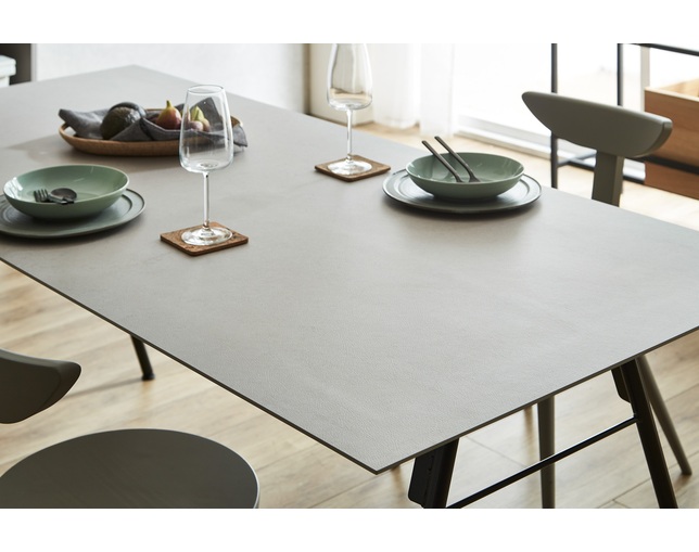 ニッポネア(NIPPONAIRE) DINING TABLE GARAMの写真