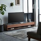 NIPPONAIRE TV BOARD TIKAの写真