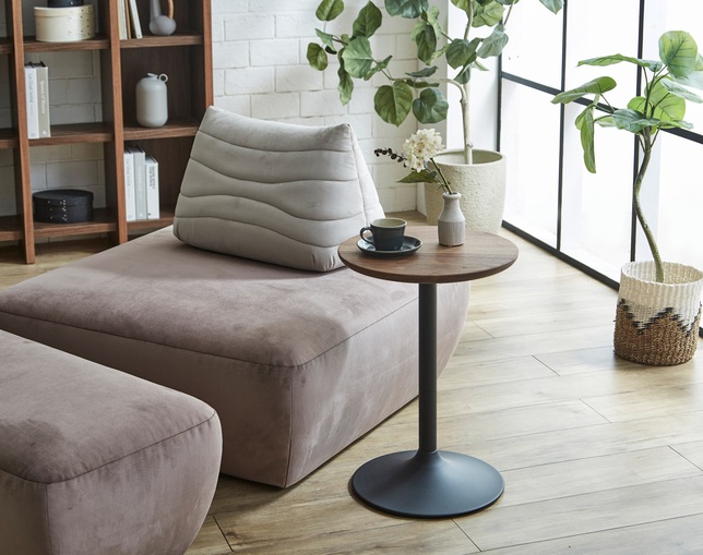 ニッポネア(NIPPONAIRE) SIDE TABLE ROTOMの写真