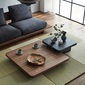 NIPPONAIRE CENTER TABLE BALEINEの写真
