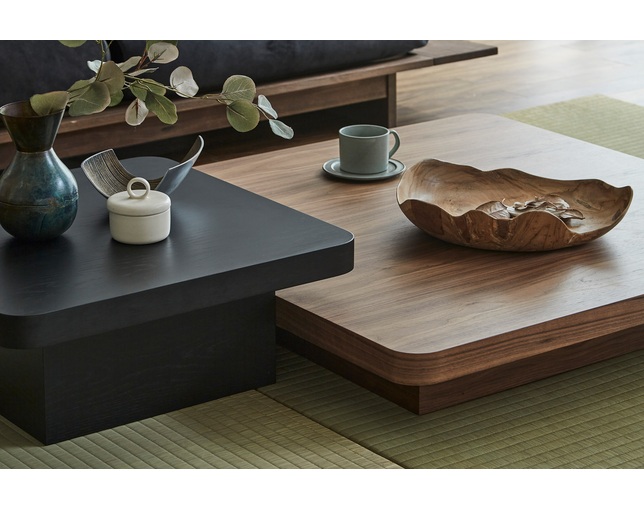 ニッポネア(NIPPONAIRE) CENTER TABLE BALEINEの写真