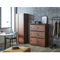 NIPPONAIRE 1P INDIVIDUAL LOCKER BROSの写真
