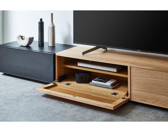 ニッポネア(NIPPONAIRE) TV BOARD UBの写真