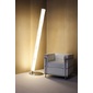 Lumen Center Italia/LCI TAKE OVALの写真
