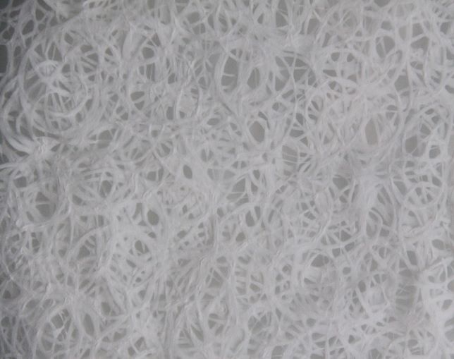 オルビテックス(orbitex) kumo Mの写真