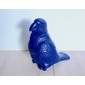 orbitex PARROTの写真