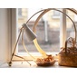 INNOLUX Tapio Table Lampの写真