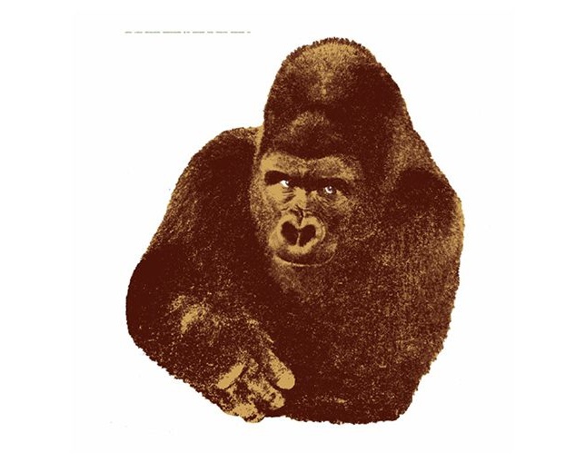 ダネーゼ(DANESE) QUINDICI,IL GORILLAの写真