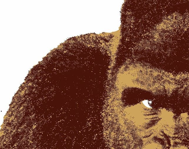 ダネーゼ(DANESE) QUINDICI,IL GORILLAの写真