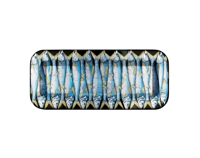 FORNASETTI(フォルナゼッティ) Sardine colour/blackの写真