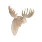 amabro WOOD ANIMAL HEAD / Mooseの写真