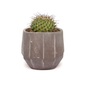 amabro CEMENT PLANTER -ARTDECO- / Brownの写真