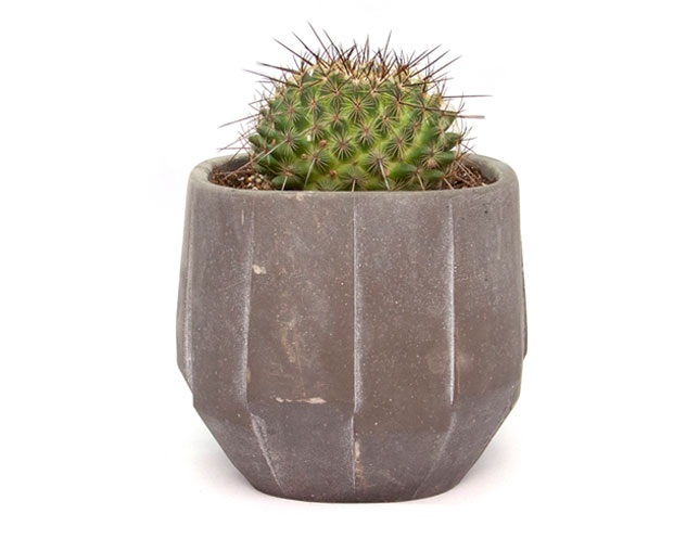 アマブロ(amabro) CEMENT PLANTER -ARTDECO- / Brownの写真