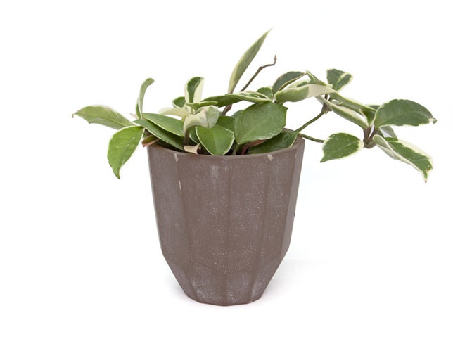 アマブロ(amabro) CEMENT PLANTER -POLYGON- / Brownの写真
