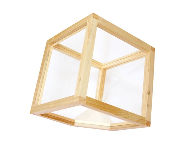 アマブロ(amabro) WOOD TERRARIUM / Square(L)の写真