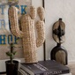 amabro CACTUS BRAID Round Fan / Blackの写真