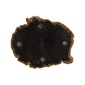 amabro WOOD COASTER / Blackの写真