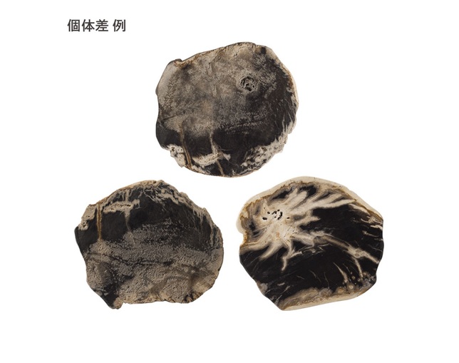 アマブロ(amabro) WOOD COASTER / Blackの写真