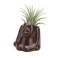 naft Plants animal オラウータンの写真