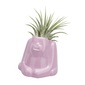 naft Plants animal オラウータンの写真