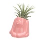 naft Plants animal オラウータンの写真