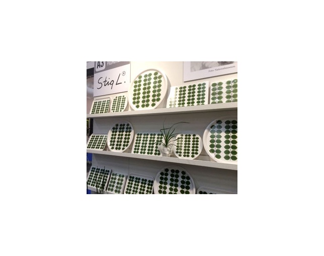 A3 Profil(エースリー プロファイル) トレーラウンドD31cm　「ベルサ」の写真