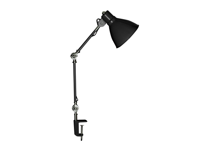 HERMOSA(ハモサ) INDUSTRY DESK LAMPの写真