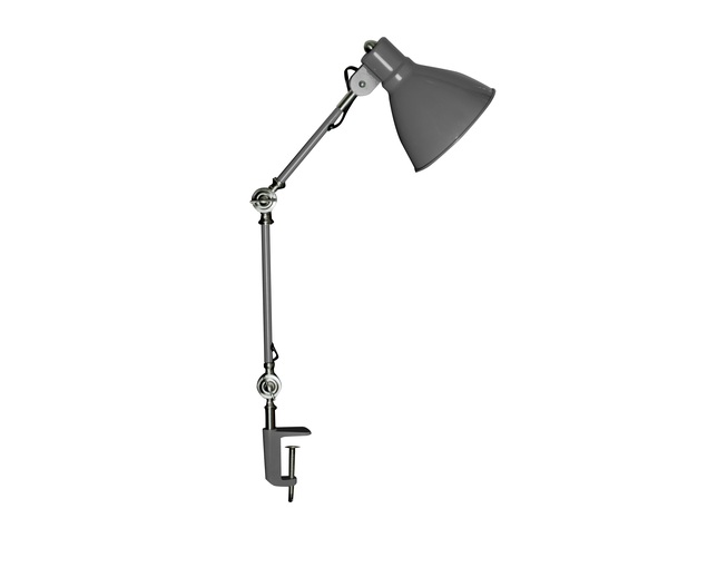 HERMOSA(ハモサ) INDUSTRY DESK LAMPの写真
