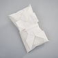 Katsuki Connection Cushionの写真
