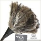 Redecker [REDECKER/レデッカー]オーストリッチ羽はたき・角(30cm/Black) の写真