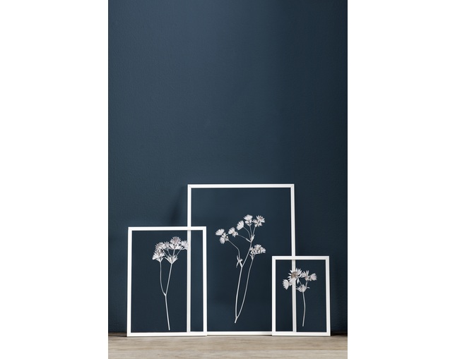 MOEBE(ムーベ) FRAME A2 WHITEの写真