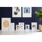 STILLEBEN PRINT COLLECTION Sarah Becker 「Stilleben」の写真