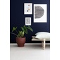 STILLEBEN PRINT COLLECTION Sarah Becker 「Stilleben」の写真