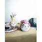 BJORN WIINBLAD Flower Bowl Mの写真