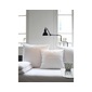 DCW editions LAMPE GRAS NO.411の写真