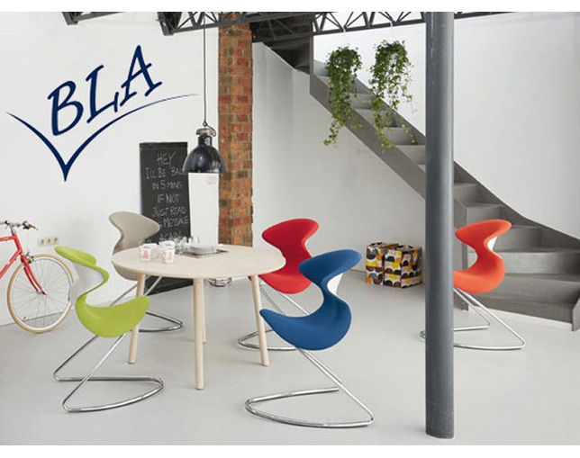 aeris(アイリス) oyoの写真