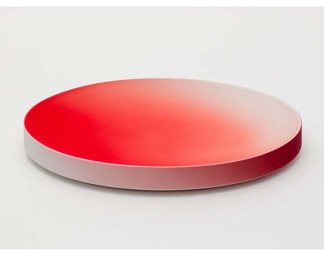 2016/(ニーゼロイチロク) Plate 310の写真