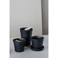 2016/ Tea Containerの写真